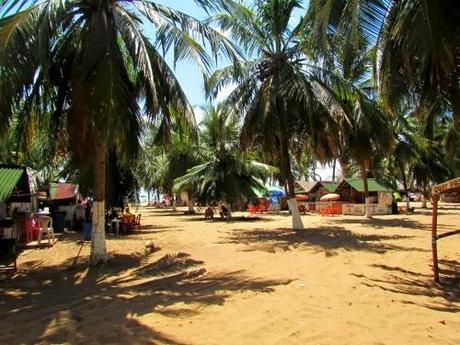 Playa de Gunga. Maceió. Alagoas Playa de Gunga. Maceió. Alagoas