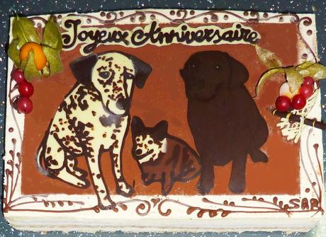 Alba, Eli, Comète Alba, Eli, Comète