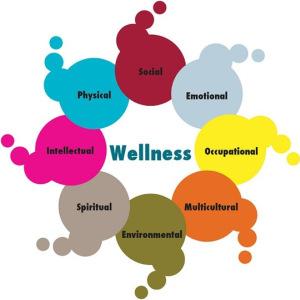 wellness programa destres