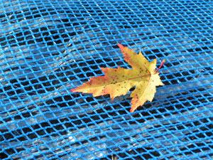 Monitorizar a la competencia con LinkedIN Monitorizar a la competencia con LinkedIN