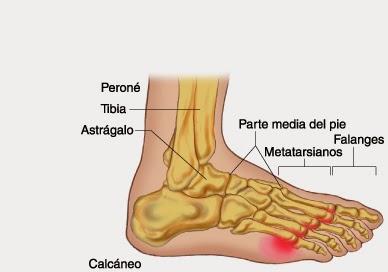 Maratón de Madrid 2014 - Semana 11, Descarga y Media Maratón de Aranjuez - Diario de entrenamiento Maratón de Madrid 2014 - Semana 11, Descarga y Media Maratón de Aranjuez - Diario de entrenamiento