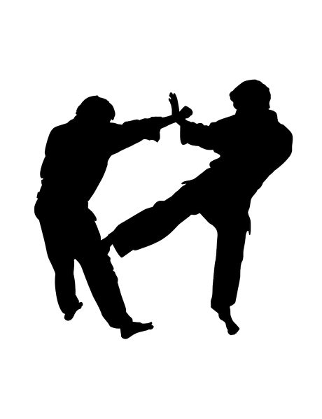 Maratón de Madrid 2014 - Semana 11, Descarga y Media Maratón de Aranjuez - Diario de entrenamiento Maratón de Madrid 2014 - Semana 11, Descarga y Media Maratón de Aranjuez - Diario de entrenamiento