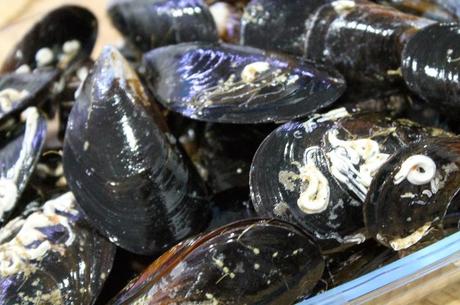 Mejillones al vapor Mejillones al vapor