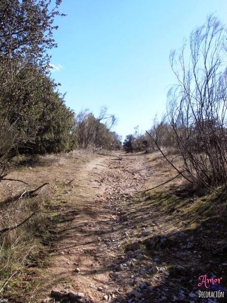 RUTAS EN BICI: LAS ROZAS-COLMENAREJO-VILLANUEVA DEL PARDILLO (MADRID)