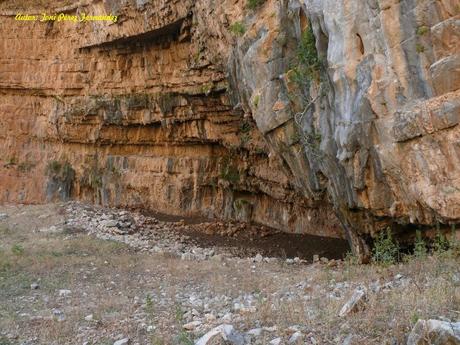 El G.E.V. colabora en la defensa del patrimonio El G.E.V. colabora en la defensa del patrimonio
