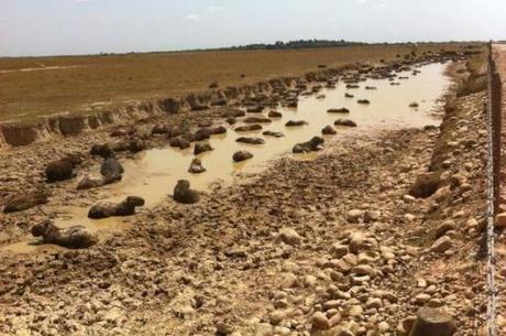 Desastre ambiental en Casanare (Colombia) ¿una tragedia causada por las petroleras?