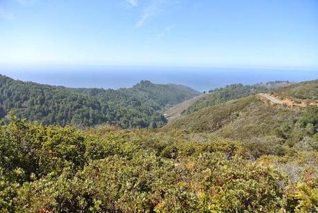 Volviendo a Big Sur Volviendo a Big Sur