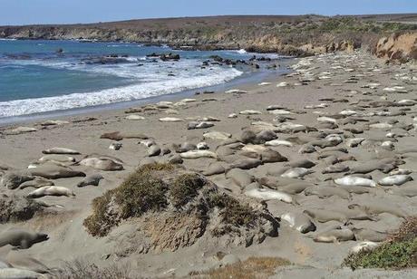 Volviendo a Big Sur Volviendo a Big Sur