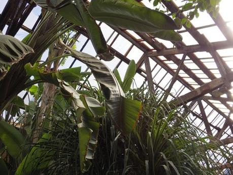 Hivernacle de Sants Hivernacle de Sants