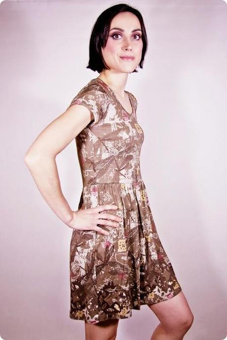 libélula 11 libélula 11