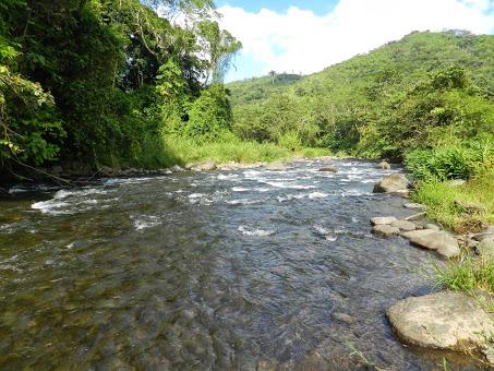 Mi vida en Rancho Margot: hotel rural, finca ecológica y yoga