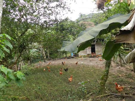 Mi vida en Rancho Margot: hotel rural, finca ecológica y yoga