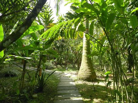 Mi vida en Rancho Margot: hotel rural, finca ecológica y yoga