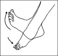 13 opciones para ejercitarte cuando estas ocupado ejerc