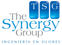 The Synergy Group Chile: Colaborando en la senda de ser buenos vecinos