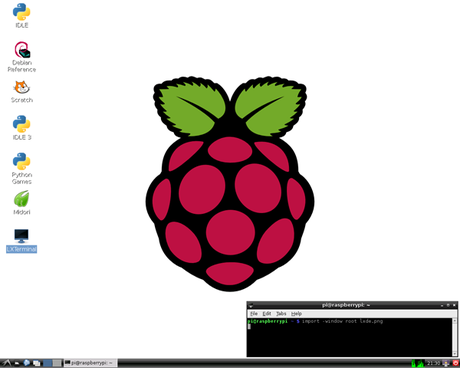 Manual de Raspberry Pi. Configurando Raspbian. Gnash