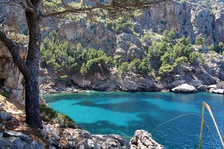 calobras2 2014: AÑO INTERNACIONAL DE LA DIETA MEDITERRÁNEA