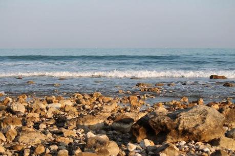 Azul y mostaza Azul y mostaza