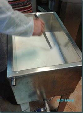 queso semicurado1 copia queso semicurado1 copia