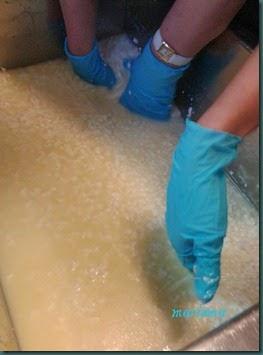 queso semicurado9 copia queso semicurado9 copia