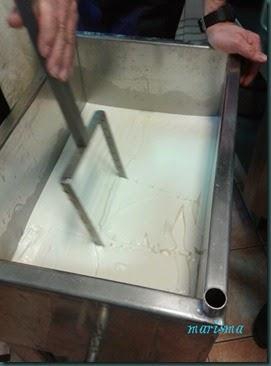 queso semicurado7 copia queso semicurado7 copia