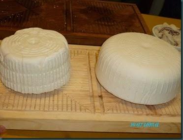 queso curado4 copia queso curado4 copia