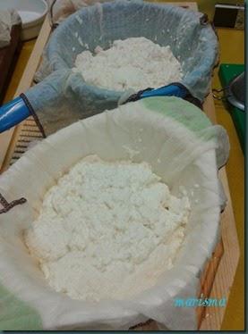 requeson3 copia requeson3 copia