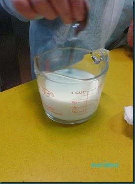 queso semicurado2 copia queso semicurado2 copia