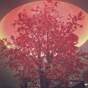 Cambiando el rollo Cambiando el rollo