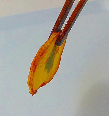 01042012036 Albóndigas de bacalao en salsa de queso