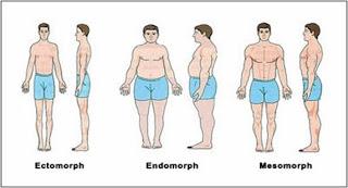 ¿Sabes cuál es tu SOMATOTIPO?