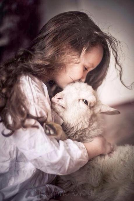 #PequePets! #PequePets!