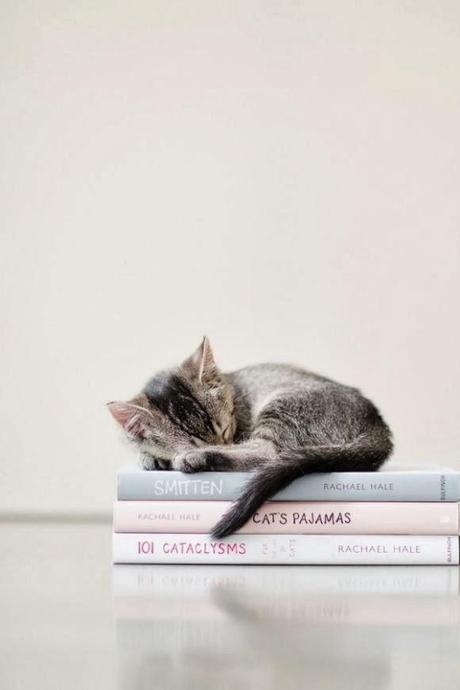 #PequePets! #PequePets!