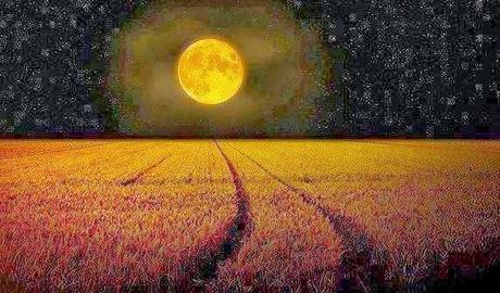 DE QUÉ PUEDO ESCRIBIRTE... DE QUÉ PUEDO ESCRIBIRTE...