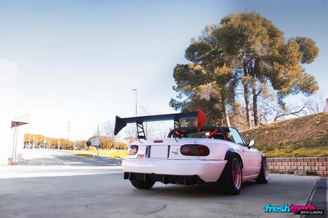 Cristian’s Mazda RX-5 IMG_3678