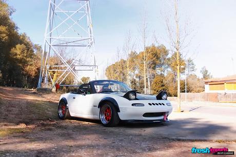 Cristian’s Mazda RX-5 IMG_3830