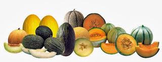 La importancia de la fruta en el embarazo La importancia de la fruta en el embarazo