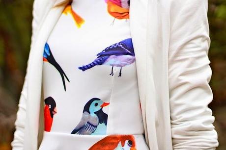 Tweet Tweet Tweet Tweet