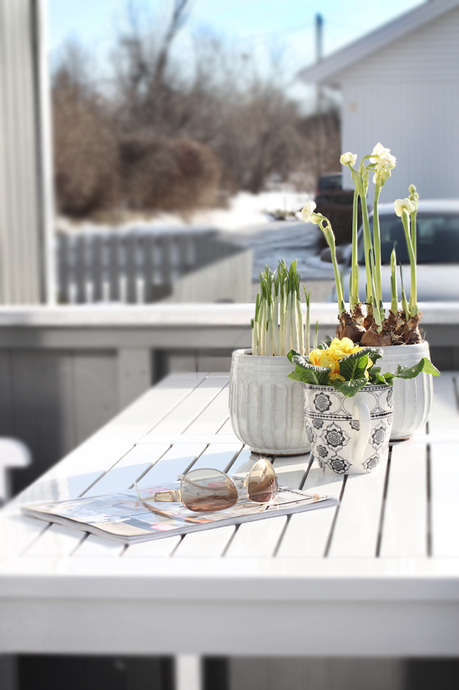 un poco de sol, un poco de aire Spring+ patio