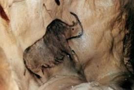 cuevas para explorar (arte rupestre) cuevas para explorar (arte rupestre)