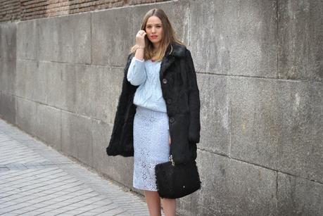 Radian Orchid Radian Orchid