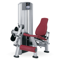 Rutina de pesas tren inferior para entrenamiento No Plan Rutina de pesas tren inferior para entrenamiento No Plan