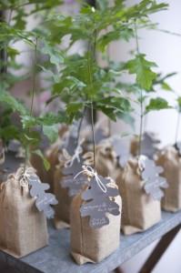 ¿Has pensado en tus invitados? ¡Haz que no olviden ese día! Ideas de detalles para ellos ¿Has pensado en tus invitados? ¡Haz que no olviden ese día! Ideas de detalles para ellos