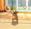 PlayStation Vita Pets ya tiene fecha de lanzamiento PlayStation Vita Pets ya tiene fecha de lanzamiento