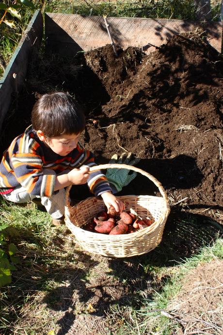 Hostal ecológico CasaVerde IMG_2476