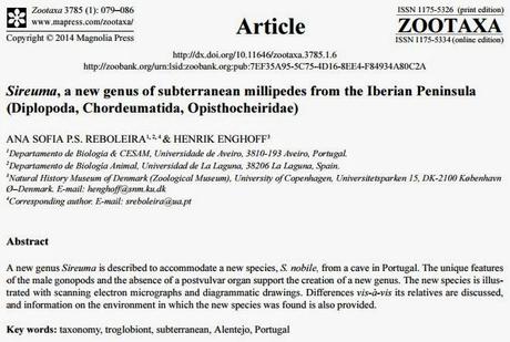 Nuevo género de miriápodos diplópodos descubierto en Portugal Nuevo género de miriápodos diplópodos descubierto en Portugal