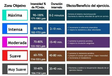 Diferencias entre la quema de calorías y la quema de grasas