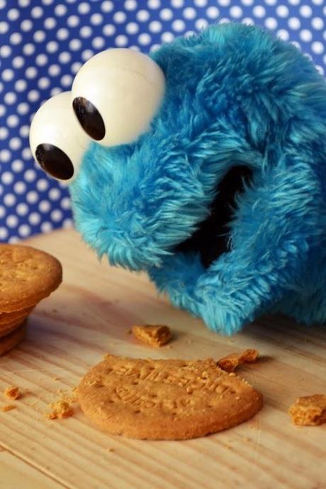 MACRO DEL DÍA: MONSTRUO DE LAS GALLETAS