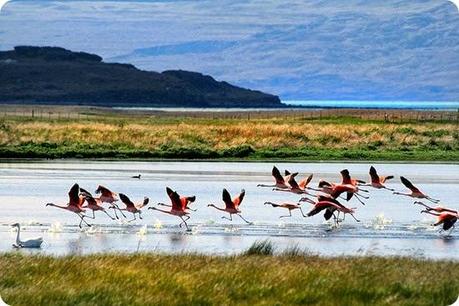 Lago_Argentino,_Patagonia,_Argentina