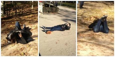 #ilusiónextrema lucia2